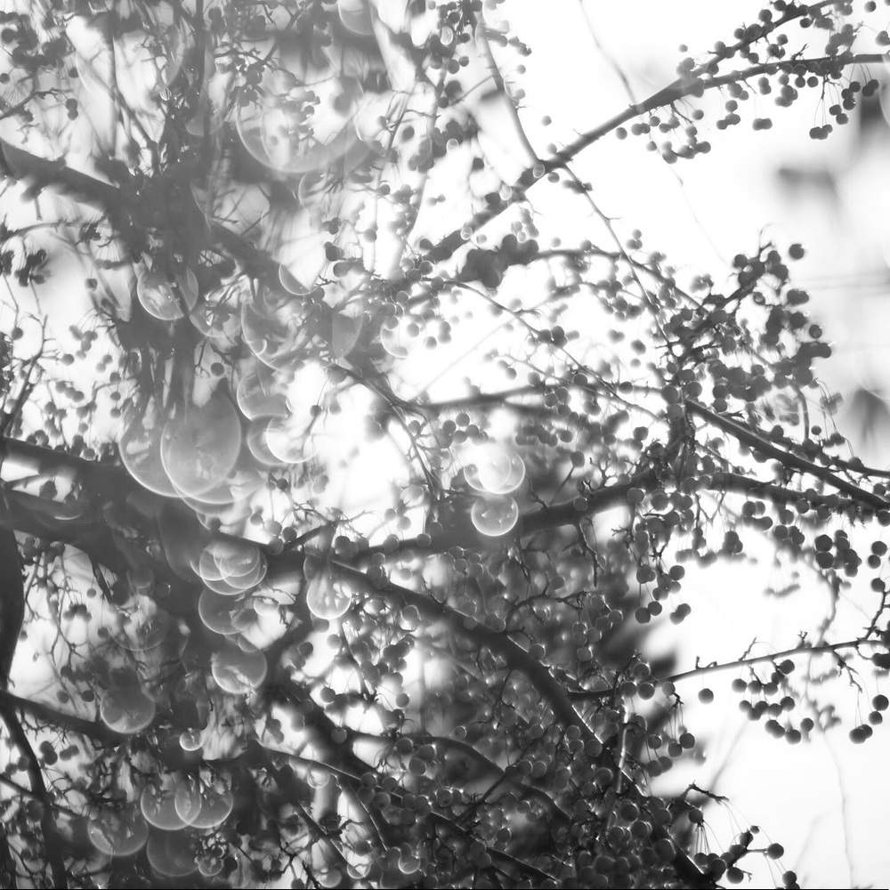 Meet your Posher, Jeff